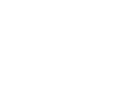 Amigo Energy