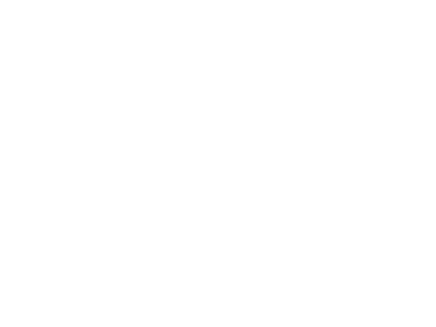 Network Funding LLC