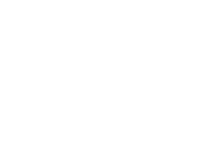 Platinum Pools